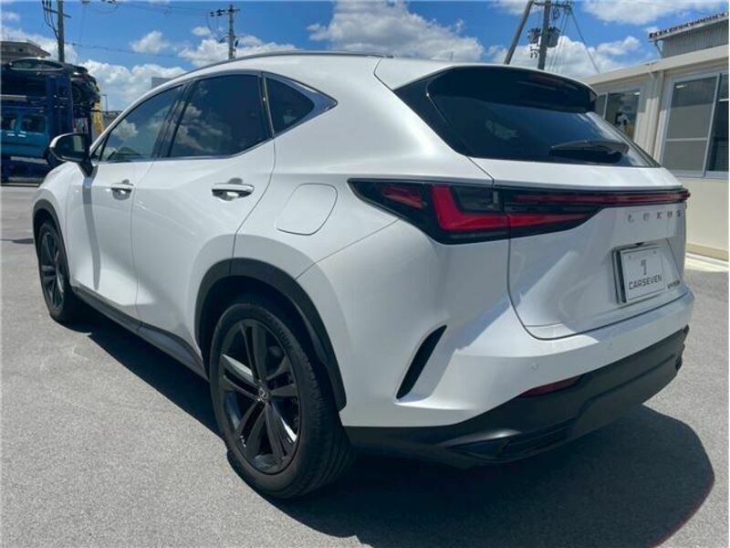 NX