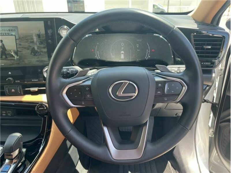 NX