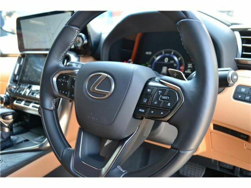 LX