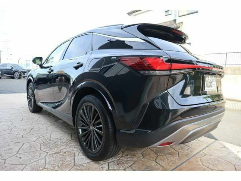 RX