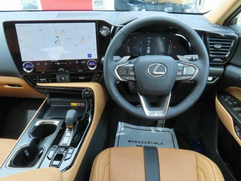NX
