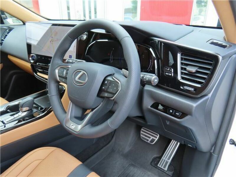 NX