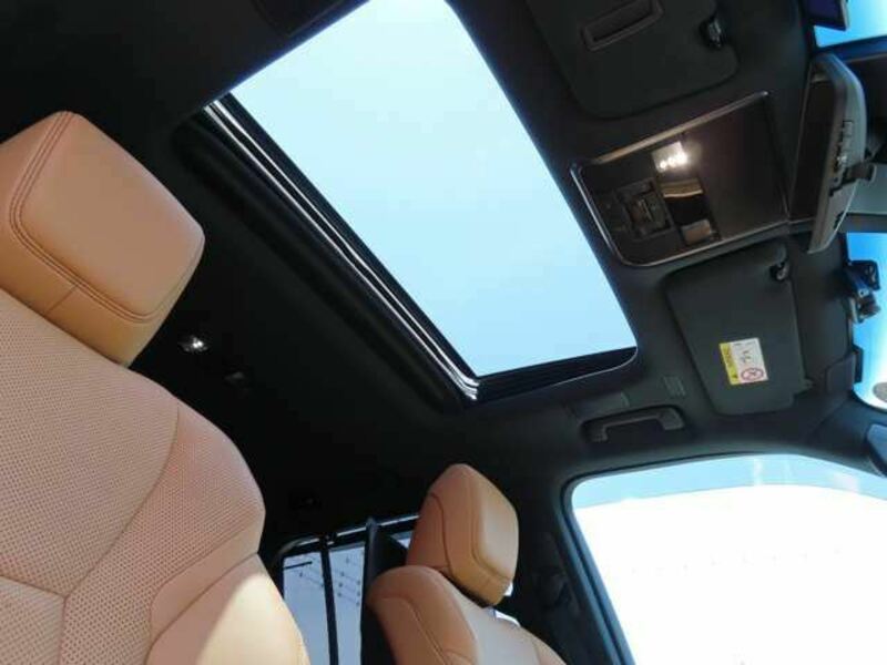 LX