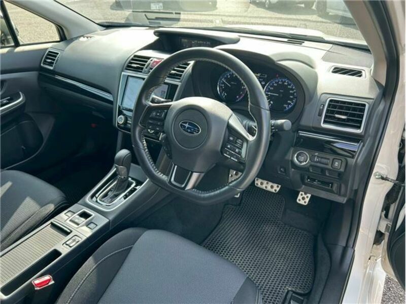 LEVORG
