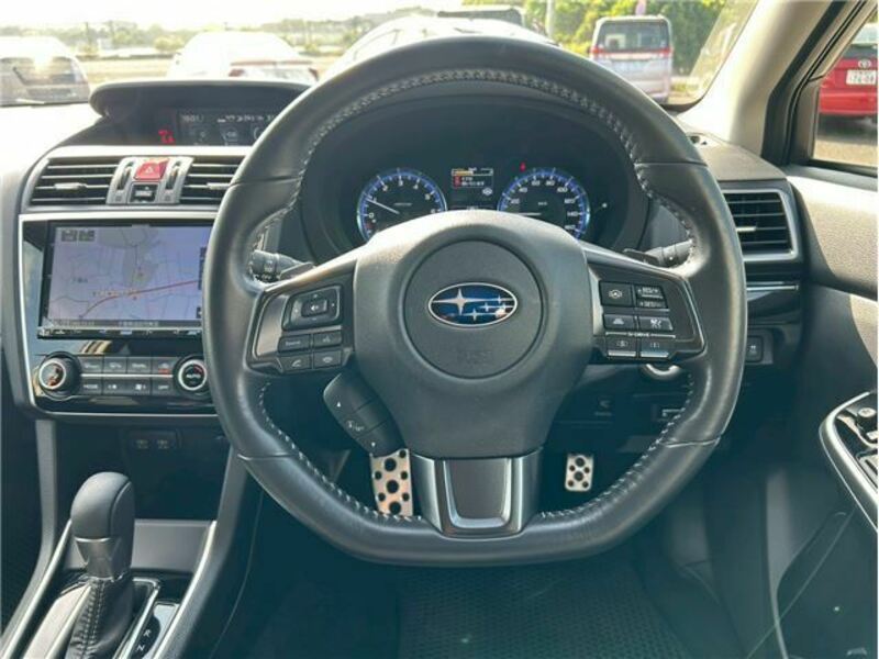 LEVORG