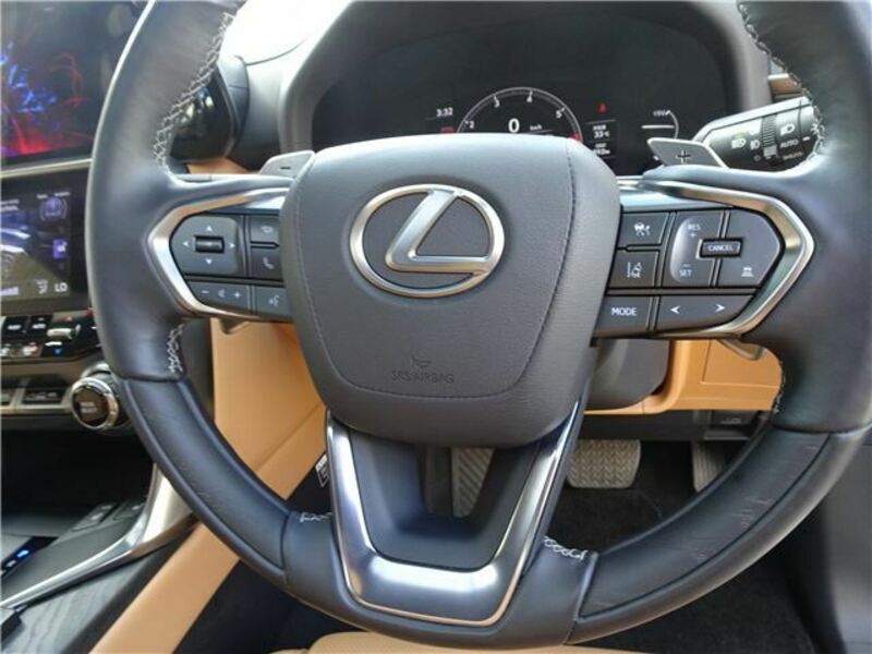 LX