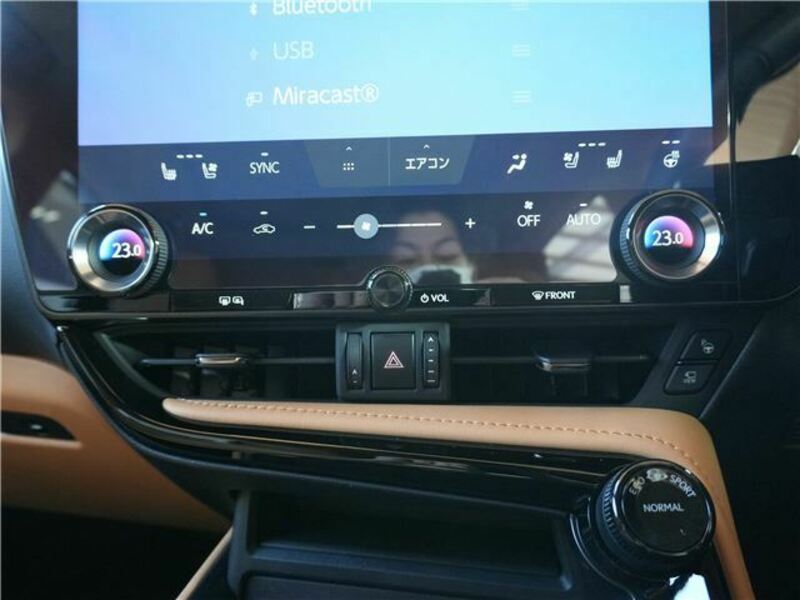 NX