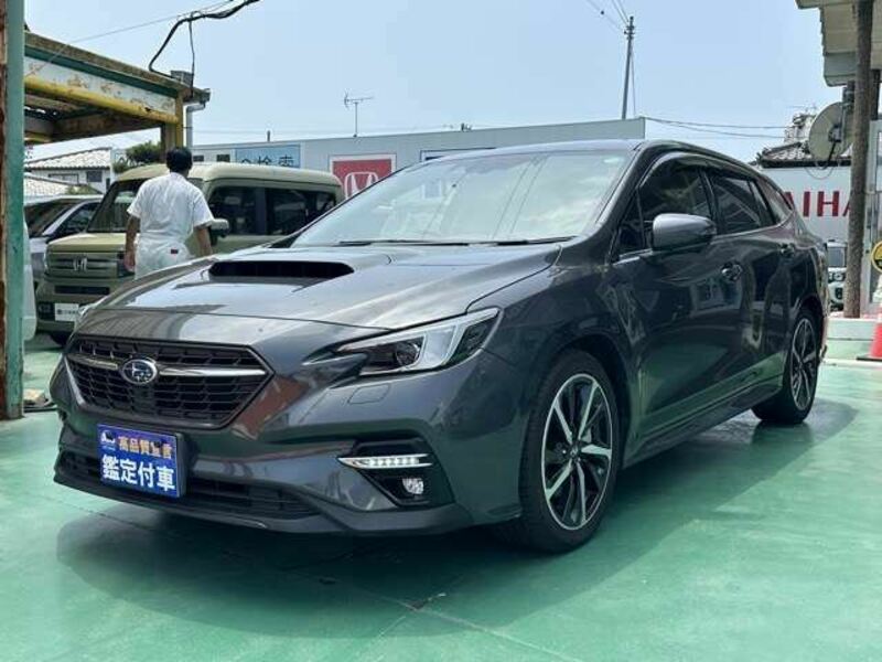 LEVORG-0