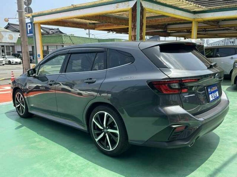 LEVORG