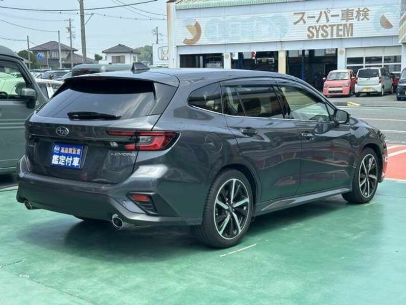 LEVORG