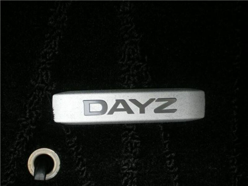DAYZ