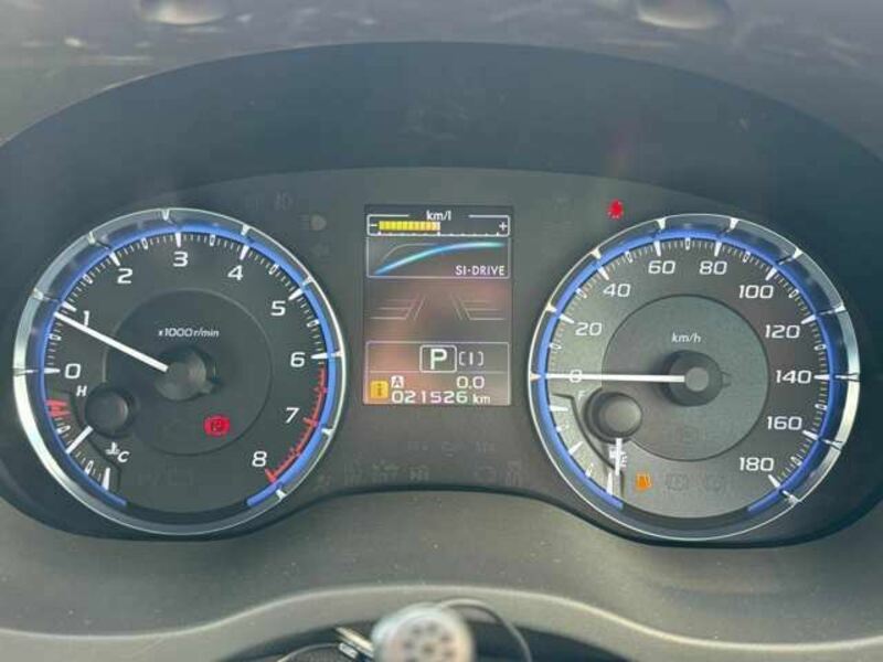 LEVORG
