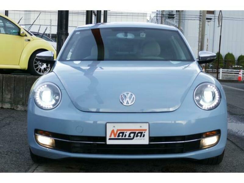 THE BEETLE