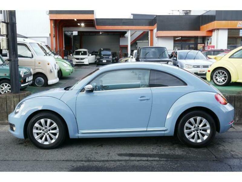 THE BEETLE