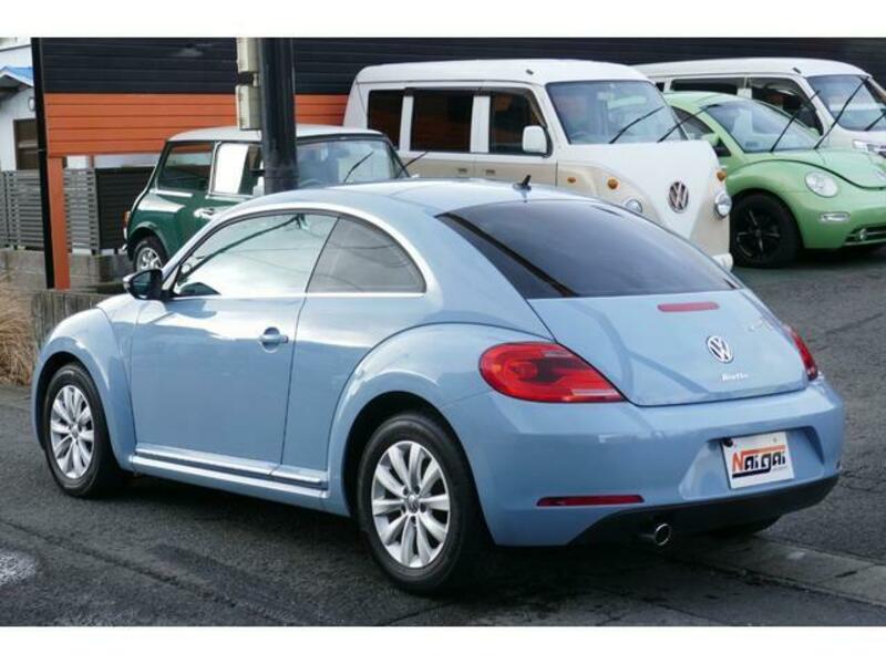 THE BEETLE