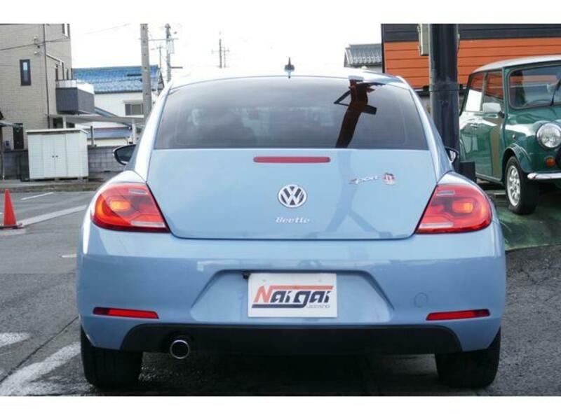 THE BEETLE