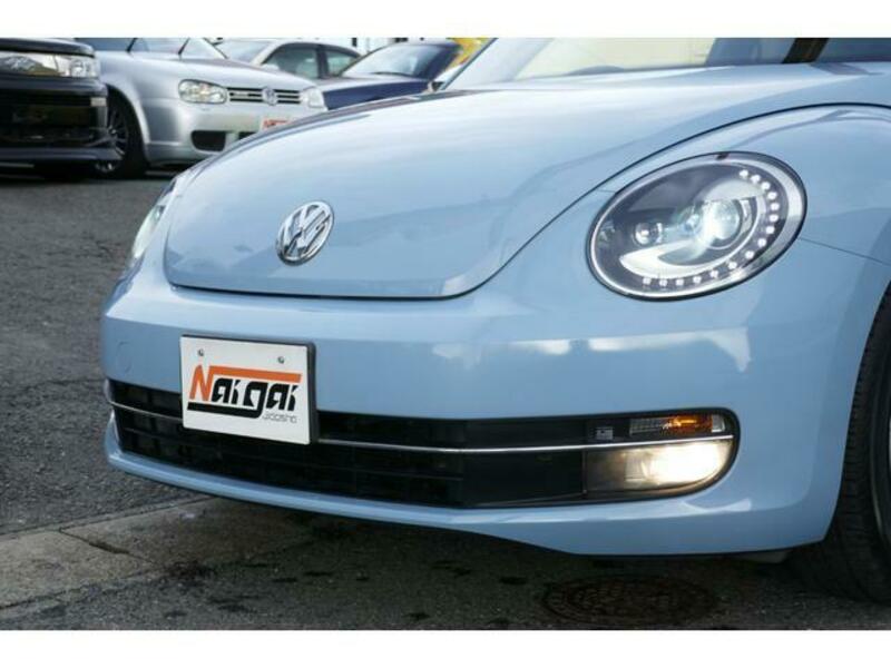 THE BEETLE