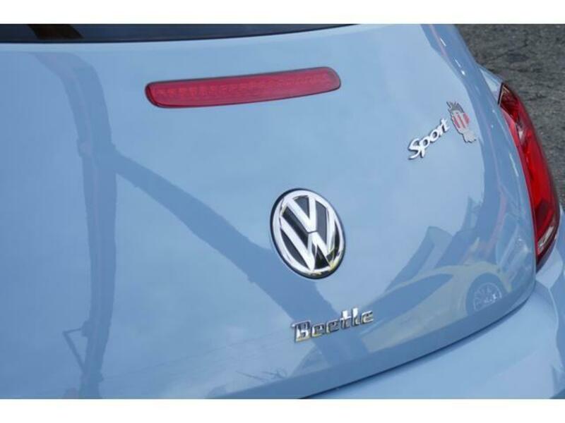 THE BEETLE
