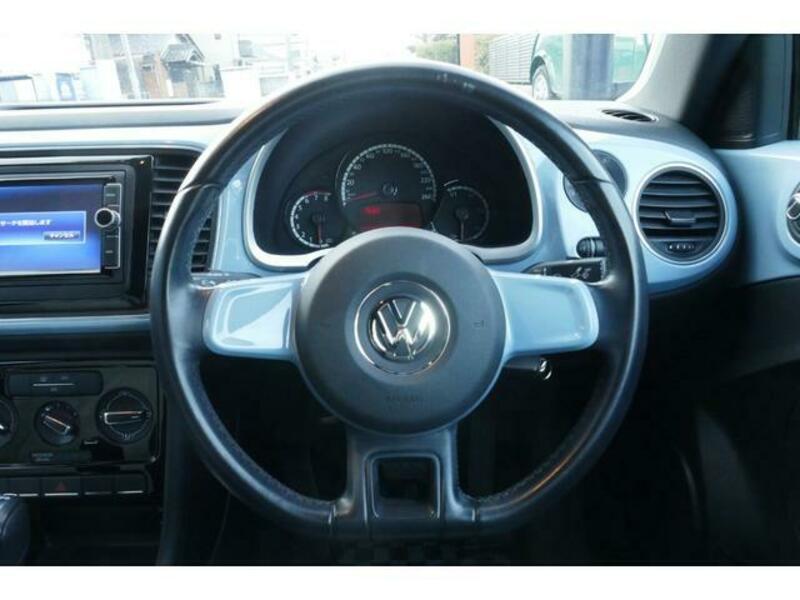 THE BEETLE