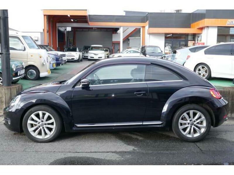 THE BEETLE