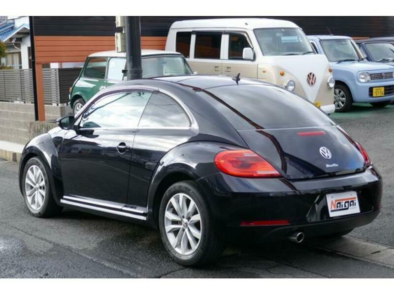 THE BEETLE