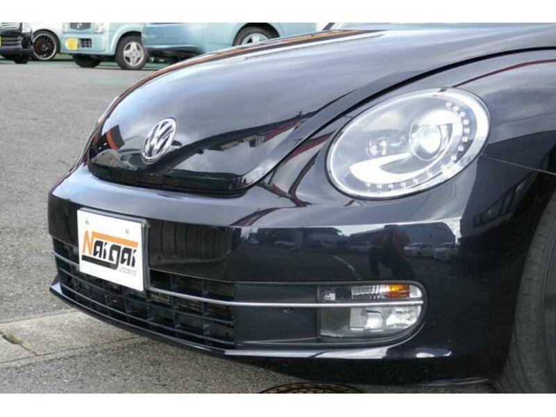 THE BEETLE
