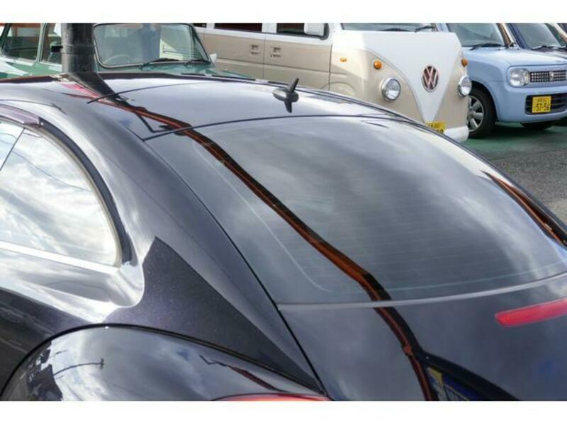 THE BEETLE