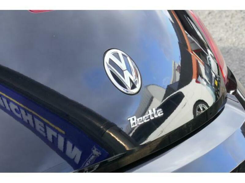 THE BEETLE