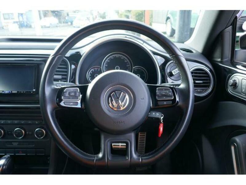THE BEETLE