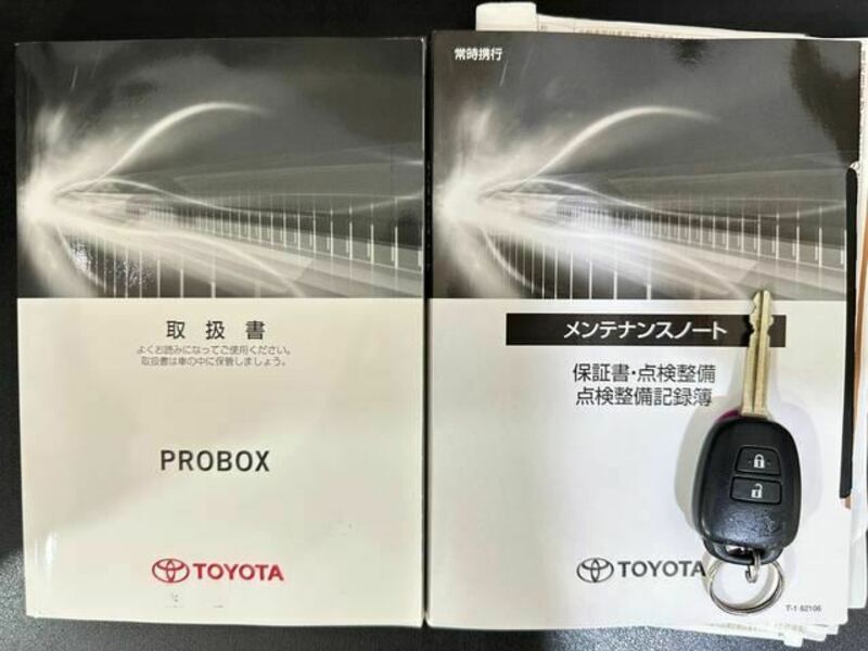 PROBOX VAN