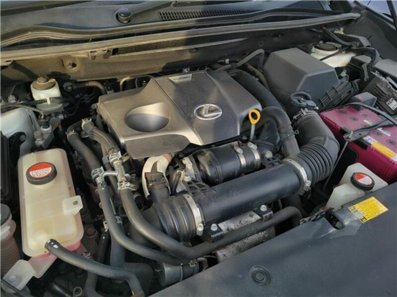 NX