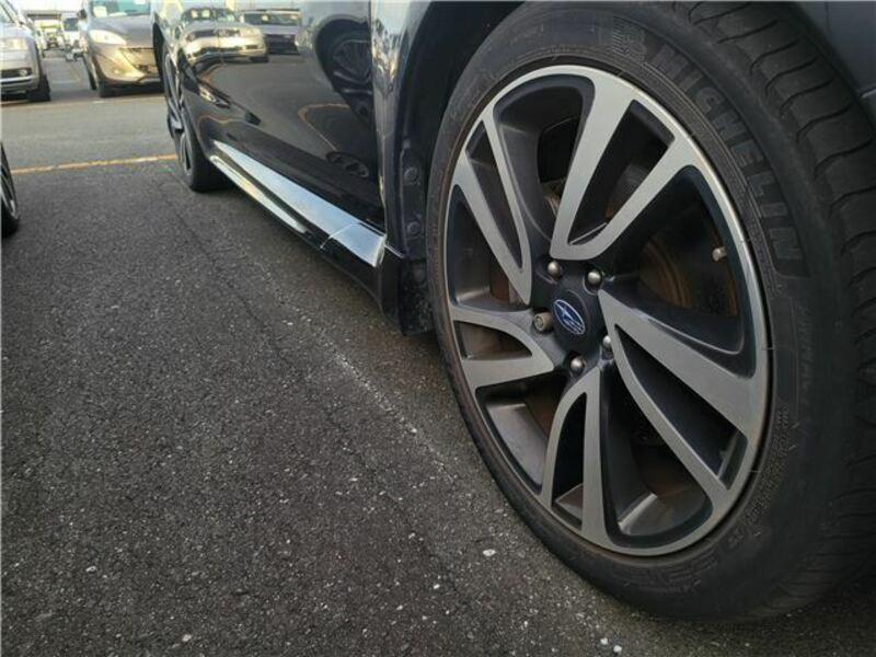 LEVORG