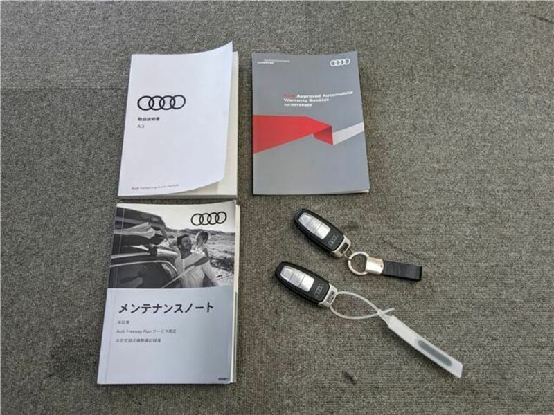A3