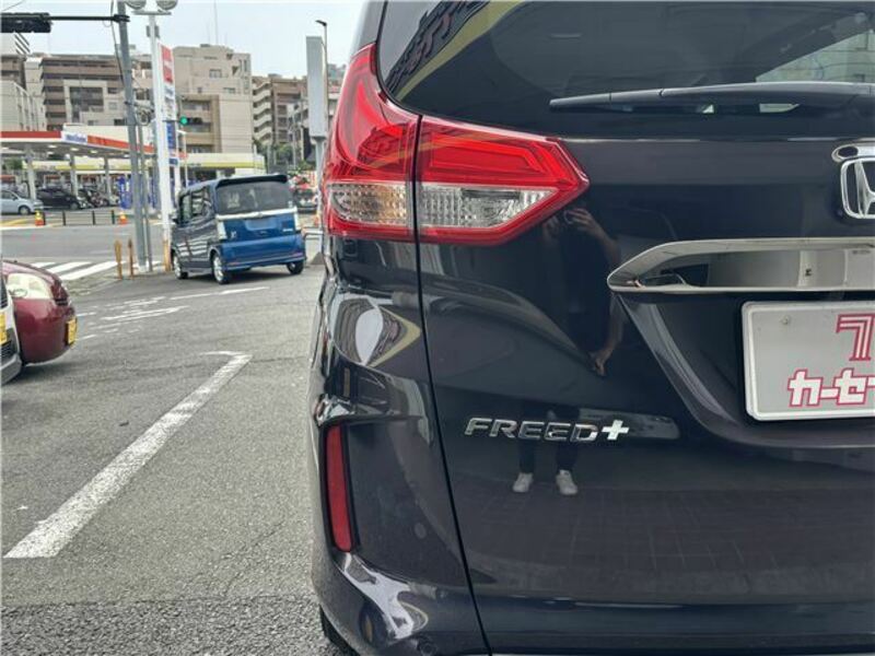 FREED+
