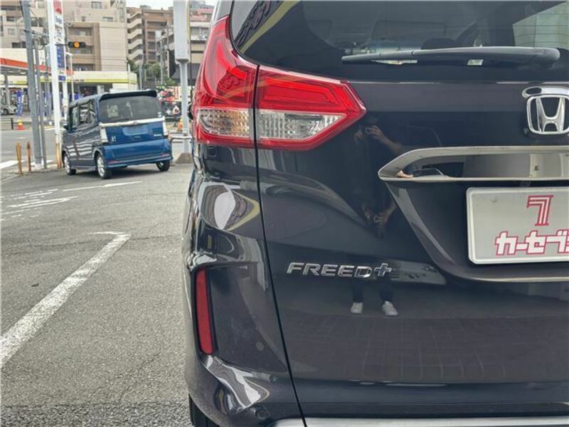 FREED+