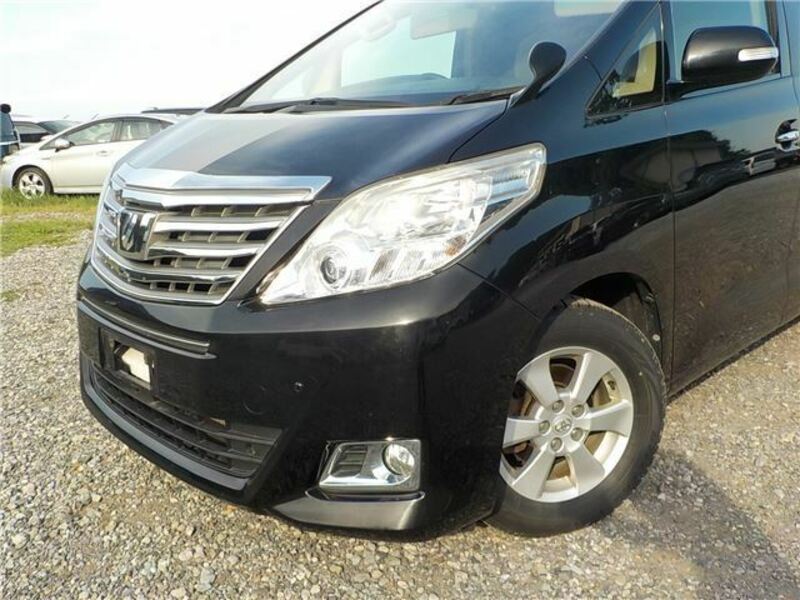 ALPHARD