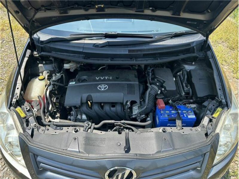 AURIS