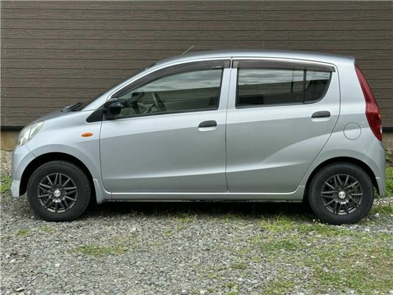 PLEO