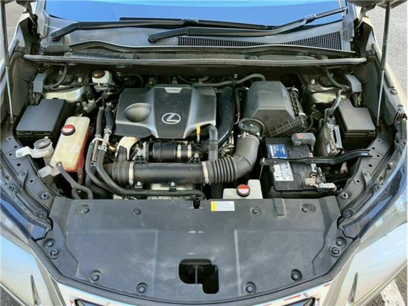 NX