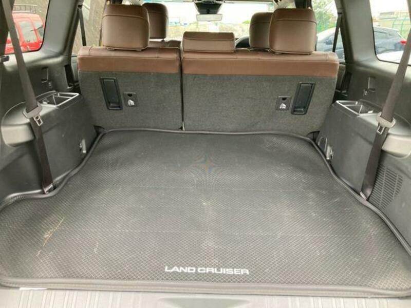 LAND CRUISER 250