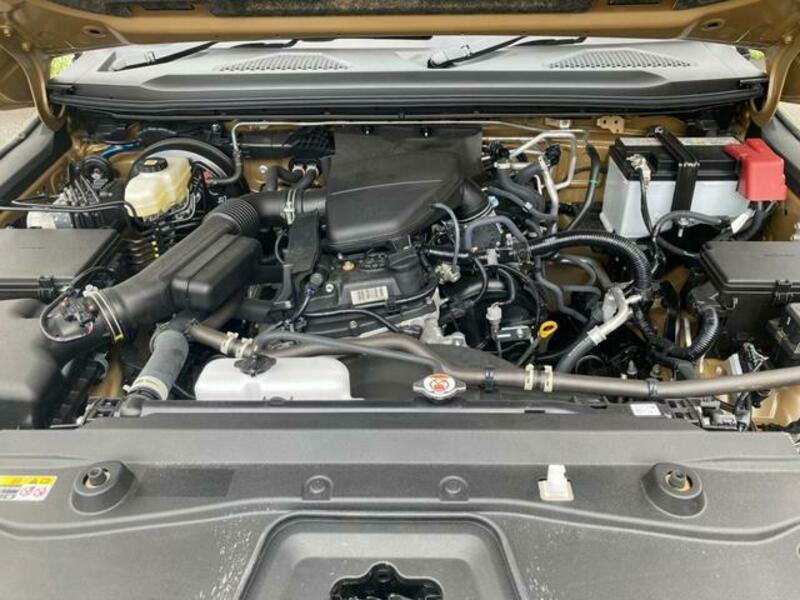LAND CRUISER 250