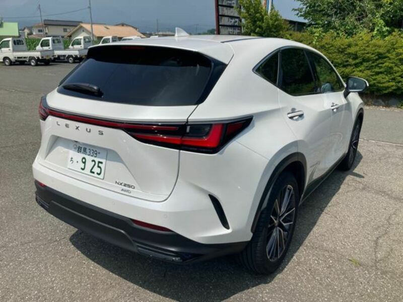 NX