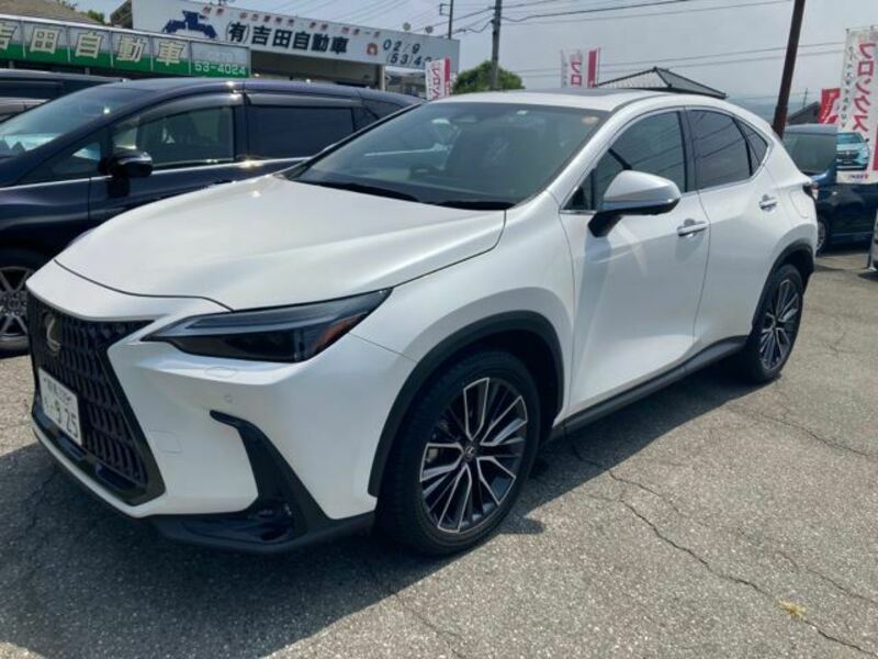 NX