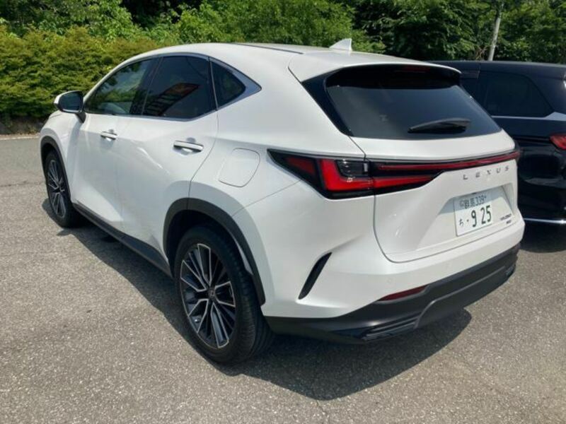 NX
