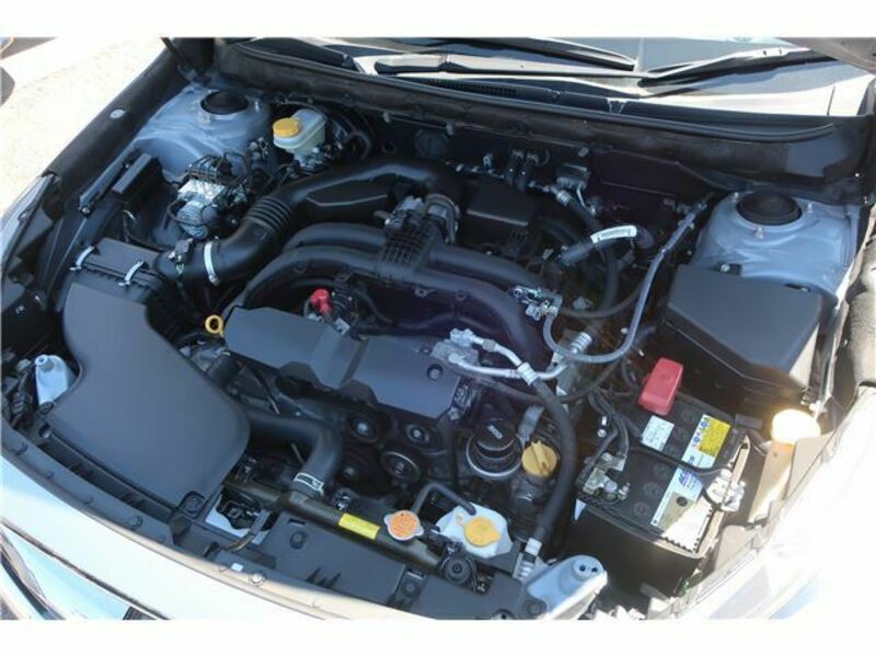 LEGACY B4