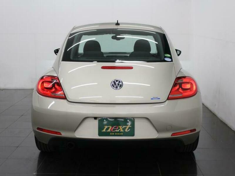 THE BEETLE