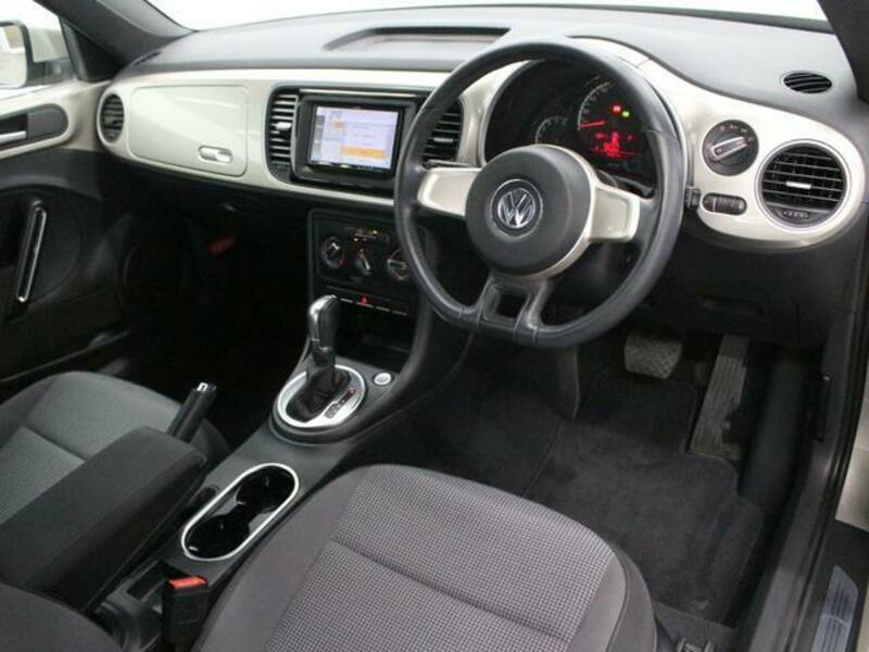 THE BEETLE