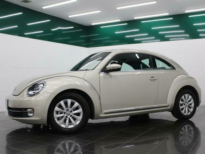 THE BEETLE