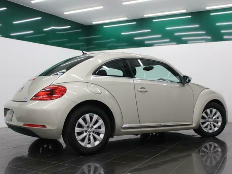 THE BEETLE