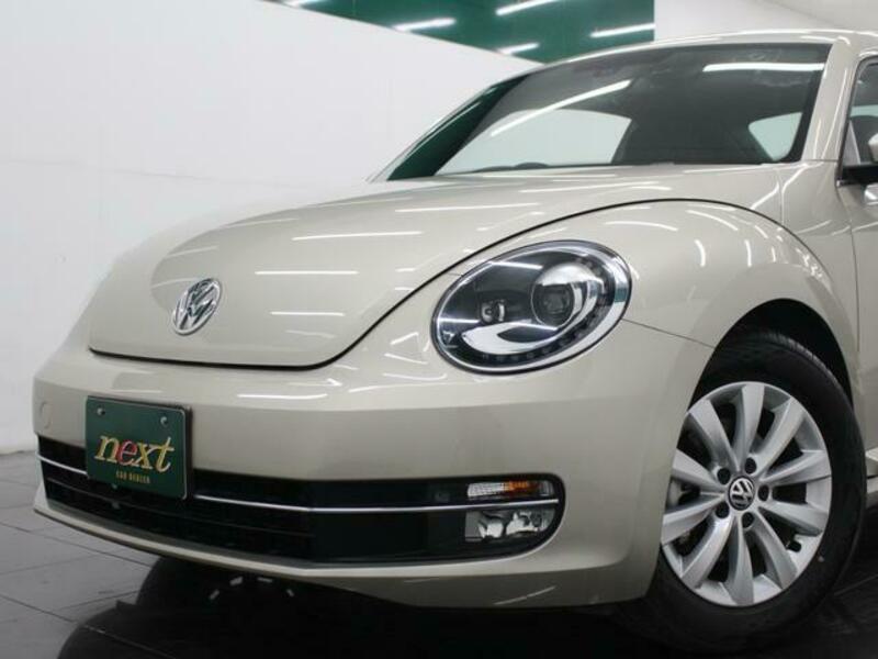 THE BEETLE